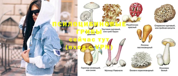 MDMA Premium VHQ Алзамай