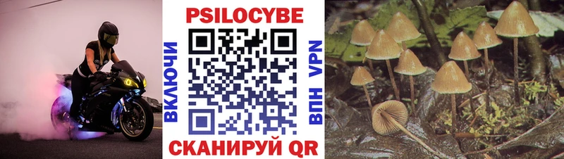 как найти наркотики  Карабулак  Галлюциногенные грибы ЛСД 