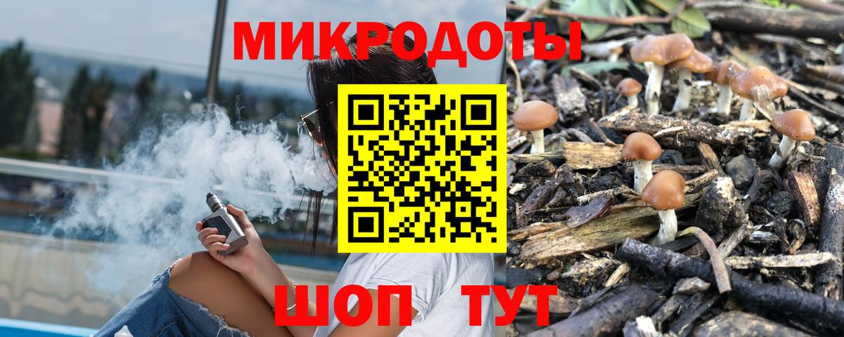 Галлюциногенные грибы прущие грибы  Вход с VPN  Карабулак  Галлюциногенные грибы GOLDEN TEACHER 