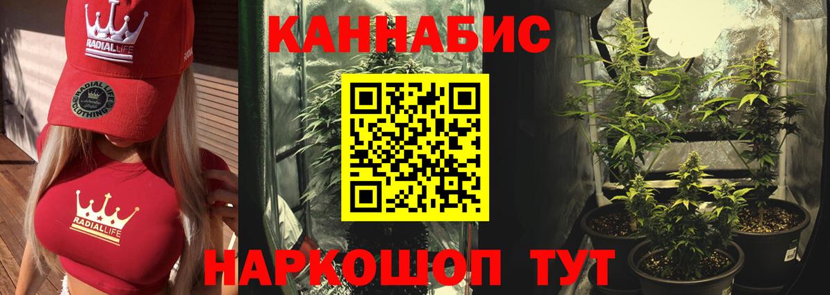 Конопля гибрид Карабулак